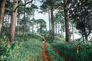 BIB: 
                            <button type="button" onclick="openModal(25652786)" class="btn btn-primary btn-sm float-right btn-popup" data-toggle="modal" data-target=".modal-high-quality">
                        <i class="fas fa-shopping-cart"></i> Add to Cart
                    </button>
                                            <button type="button" onclick="isThisMe(25652786, true)" class="btn btn-success btn-sm float-right btn-popup btn-isme hidden" data-toggle="tooltip" data-placement="bottom" title="นี่คือรูปของคุณใช่ไหม คลิกที่นี่เพื่อเอาเข้าอัลบั้ม">
                        <i class="fas fa-plus"></i> Add to album
                    </button>
                    <button type="button" onclick="isThisMe(25652786, false)" class="btn btn-warning btn-sm float-right btn-popup btn-isnotme hidden">
                        <i class="fas fa-ban"></i> Remove from album
                    </button>